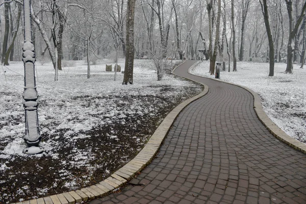 Winterlandschaft Mit Fallenden Schneeflocken Schneebedeckte Bank Zwischen Frostigen Parkwinterbäumen Und — Stockfoto