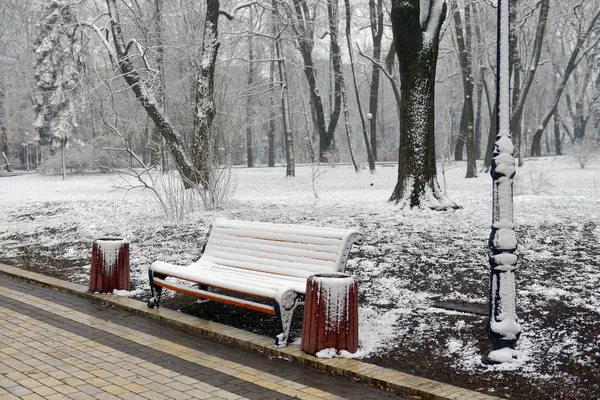 Winterlandschaft Mit Fallenden Schneeflocken Schneebedeckte Bank Zwischen Frostigen Parkwinterbäumen Und — Stockfoto