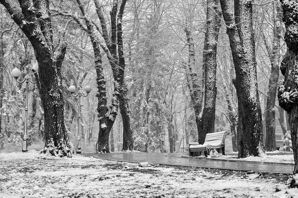 Paisaje Invernal Con Caída Copos Nieve Banco Cubierto Nieve Entre —  Fotos de Stock