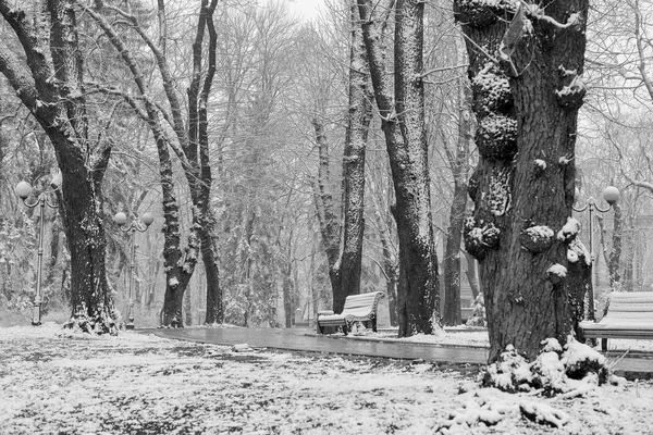 Zimní Krajina Padajícími Sněhovými Vločkami Lavička Pokrytá Sněhem Mezi Mrazivými — Stock fotografie