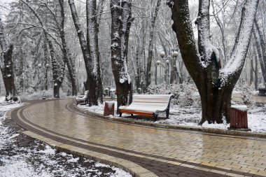 Kar tanelerinin düştüğü kış manzarası. Buz gibi park ağaçlarının ve sokak fenerlerinin arasında karla kaplı bank. Kış karlı manzara