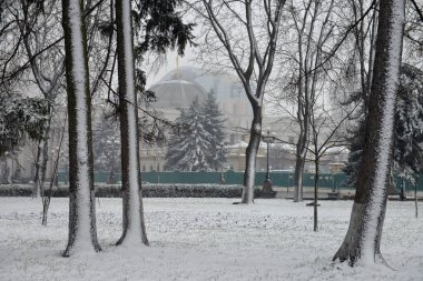 Kar tanelerinin düştüğü kış manzarası. Buz gibi park ağaçlarının ve sokak fenerlerinin arasında karla kaplı bank. Kış karlı manzara