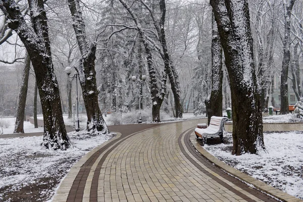 Kar Tanelerinin Düştüğü Kış Manzarası Buz Gibi Park Ağaçlarının Sokak — Stok fotoğraf