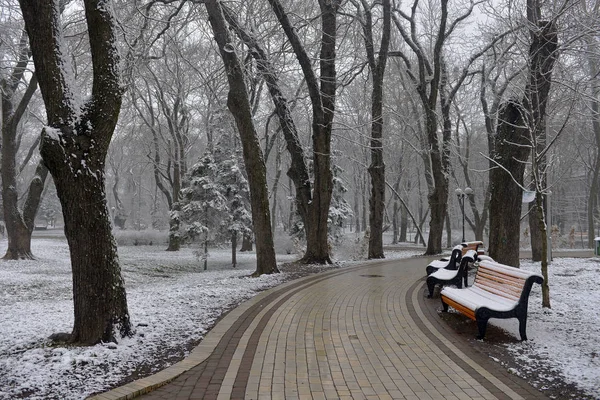 Зимний Пейзаж Падающими Снежинками Скамейка Покрытая Снегом Среди Зимних Деревьев — стоковое фото