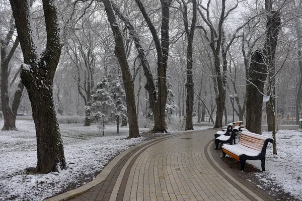 Kar Tanelerinin Düştüğü Kış Manzarası Buz Gibi Park Ağaçlarının Sokak — Stok fotoğraf