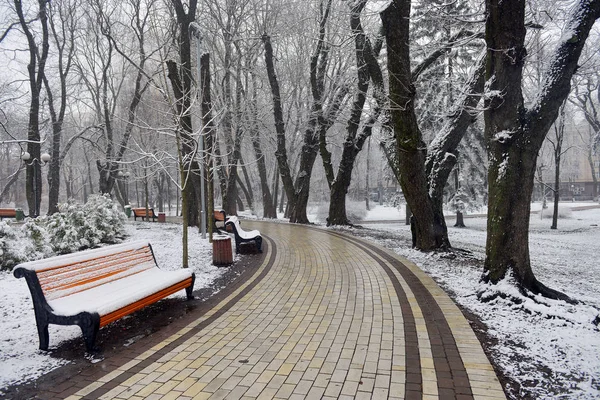 Paesaggio Invernale Con Fiocchi Neve Cadenti Panchina Coperta Neve Tra — Foto Stock