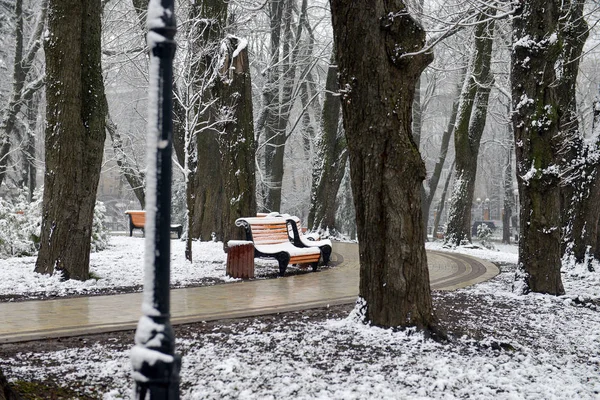 Paisaje Invernal Con Caída Copos Nieve Banco Cubierto Nieve Entre —  Fotos de Stock