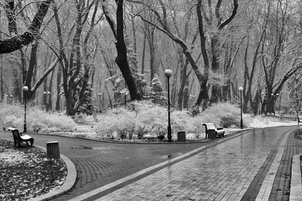 Paisaje Invernal Con Caída Copos Nieve Banco Cubierto Nieve Entre —  Fotos de Stock