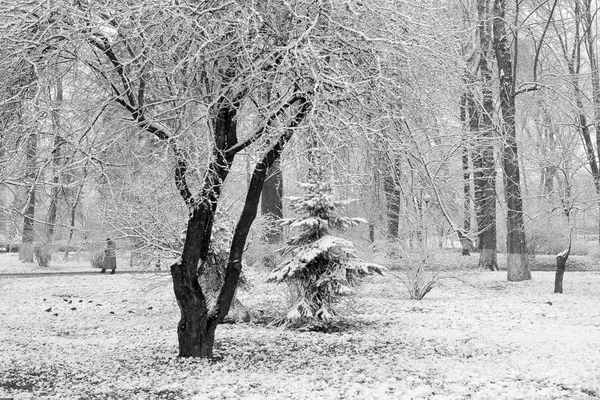 冬季风景 雪片飘落 长椅上覆盖着霜冻的公园 冬天的树木和街上的灯笼 冬季雪景景观 — 图库照片