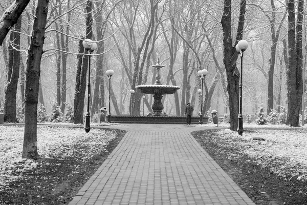 雪が降る冬の風景 ベンチは 霜の多い公園の冬の木や街灯の間で雪で覆われています 冬の雪景色 ストックフォト