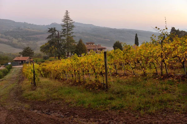 Campagne traditionnelle et paysages de la belle Toscane. Vin — Photo