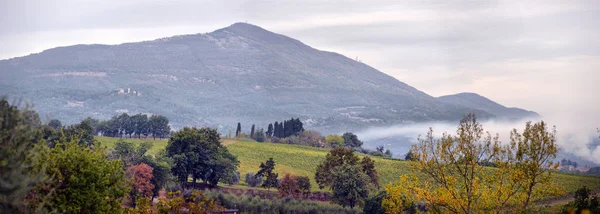 Campo tradicional e paisagens da bela Toscana. Vin... — Fotografia de Stock