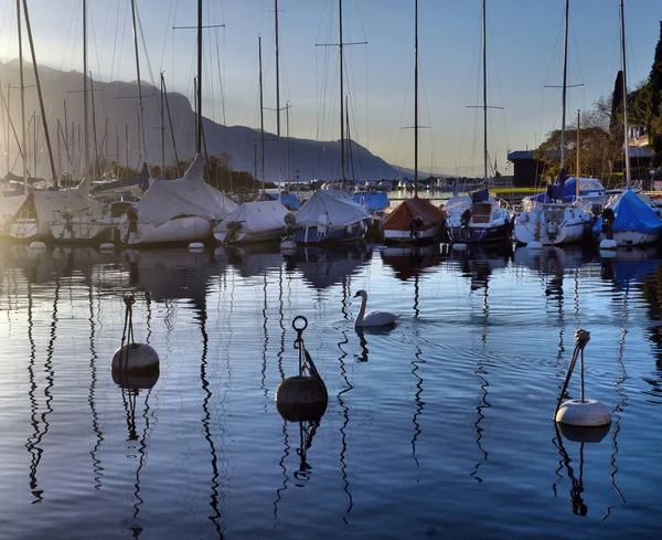 Yachts on autumn parking lot on Lake Geneva, SWISS,