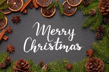 Beyaz yaprak dökmeyen dallarda