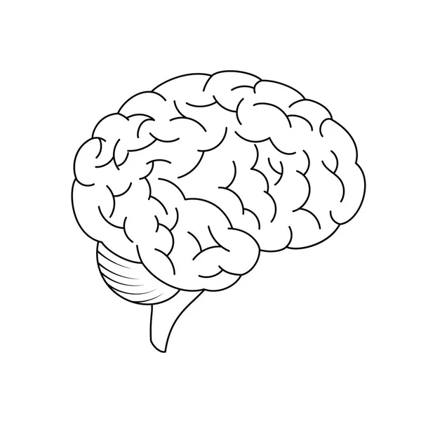 Icona del vettore cerebrale — Vettoriale Stock