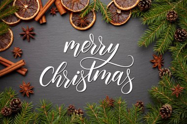 Beyaz yaprak dökmeyen dallarda