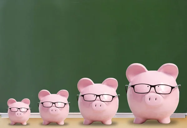 Vier Roze Varkens Met Een Bril Een Groene Achtergrond — Stockfoto
