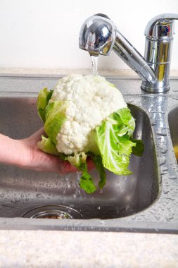 Beyaz lahana lavaboda. Taze Beyaz lahana