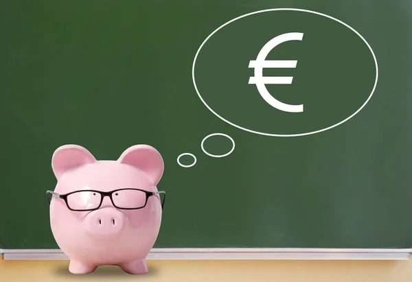 Pig bank and thoughts about the euro