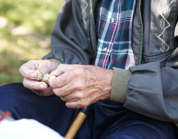 Elderly poor man eating bread — Stock Photo, Image