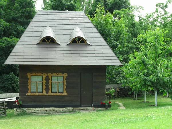 Vista Idílica Una Pequeña Casa Sobre Fondo Flores Bosque Verde —  Fotos de Stock