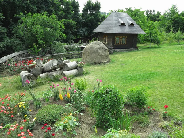 Idilli Kilátás Egy Kis Házat Háttérben Virágok Zöld Erdő — Stock Fotó