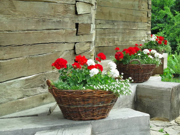 Basket Flowers Background Nature Countryside Stock Picture