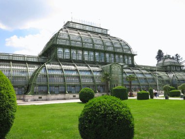 26.05.2018, Viyana, Avusturya: Viyana 2 Mayıs 2014 Schoenbrunn sarayının Palm evde. Farklı iklim bölgeleri için üç pavyonlar Palm House oluşur.