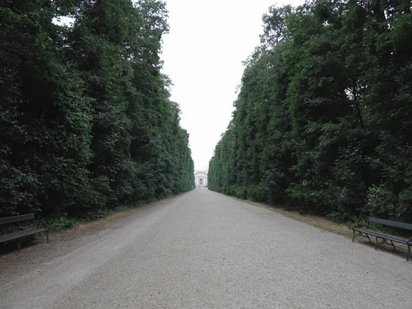 Résumé Route Campagne Rurale Dans Forêt Chemin Dans Distance — Photo