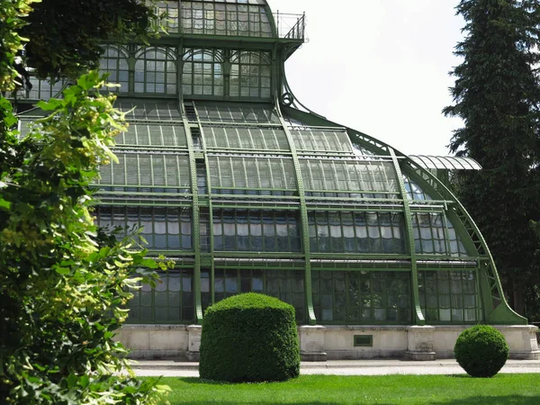 2018 ウィーン オーストリア 2014 日にウィーンのシェーンブルン宮殿でシュロ栽培の温室 シュロ栽培の温室は異なる気候ゾーンの つのパビリオンで構成されています — ストック写真