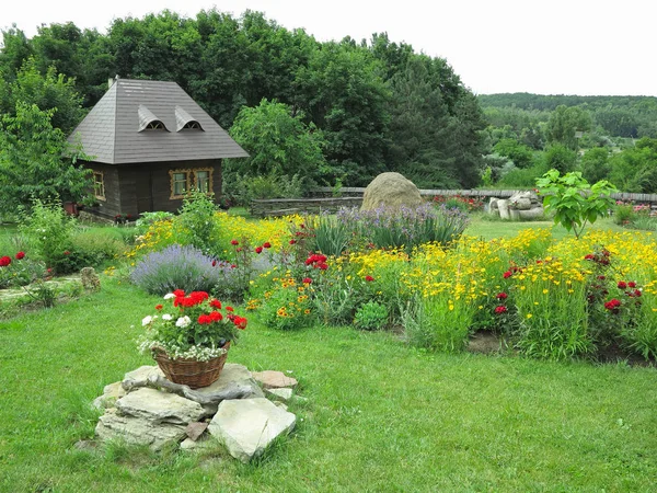 Vista Idílica Uma Pequena Casa Fundo Flores Floresta Verde — Fotografia de Stock