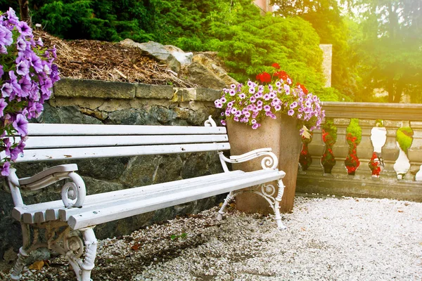 Banco Belo Parque Verde Com Flores — Fotografia de Stock