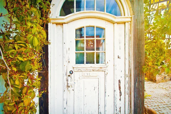 Vieilles Portes Dans Vieille Maison Entourée Feuilles — Photo