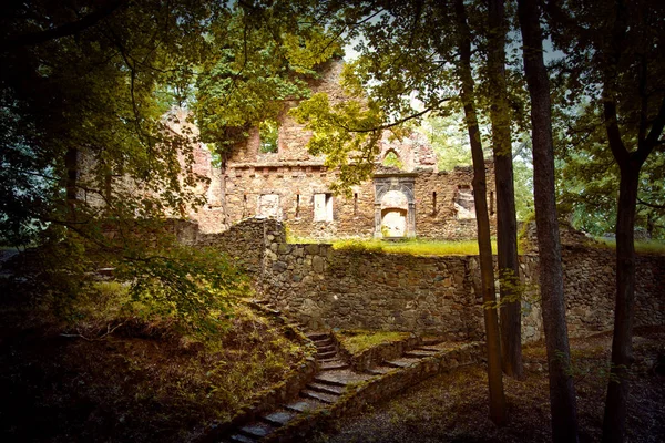 放棄された場所 緑の森の城遺跡 — ストック写真