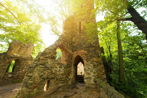 Εγκαταλελειμμένο Μέρος Ερείπια Του Κάστρου Μέσα Στο Καταπράσινο Δάσος — Φωτογραφία Αρχείου