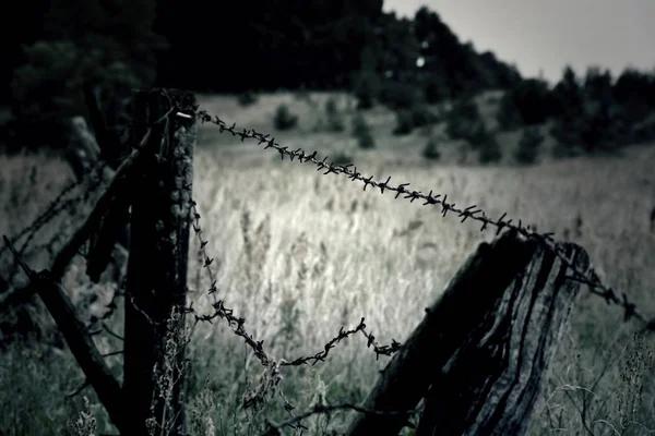 Barbed wire. — Stock Photo, Image