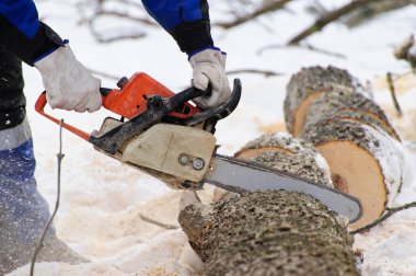 Oduncu testere testere testeresinin yakın çekim, talaş lı sinek