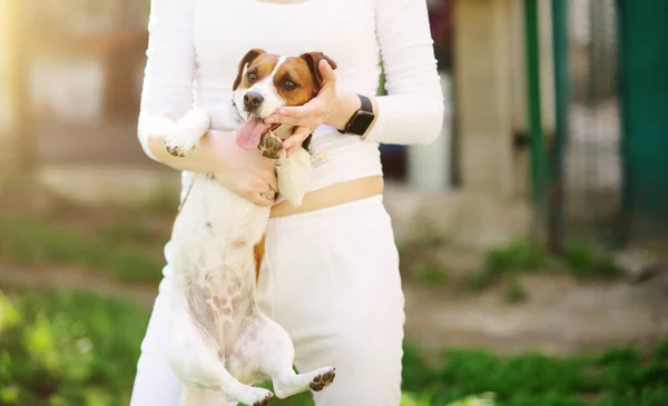 Jovem mulher bonita feliz segurando pequeno cão — Fotografia de Stock