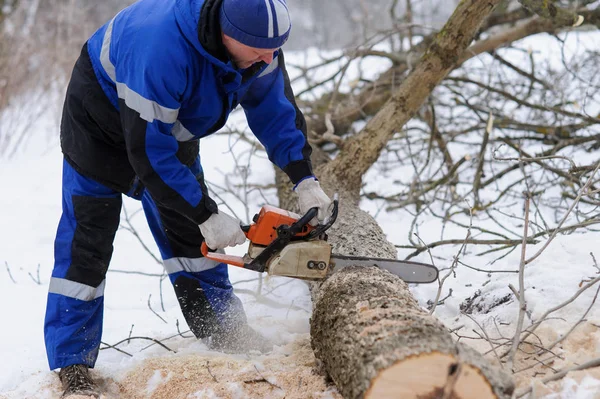 Närbild av skogshuggning sågmotorsåg i rörelse, sågspån flyga till — Stockfoto