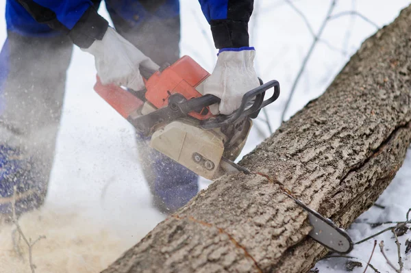 Primer plano de la sierra serradora de madera en movimiento, el aserrín vuela a — Foto de Stock