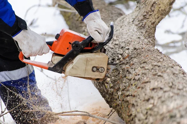 Primer plano de la sierra serradora de madera en movimiento, el aserrín vuela a — Foto de Stock