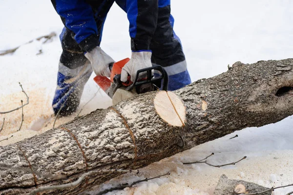 Primer plano de la sierra serradora de madera en movimiento, el aserrín vuela a —  Fotos de Stock