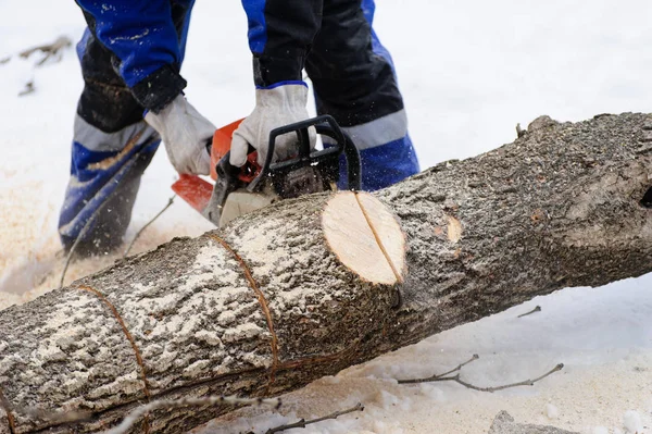 Primer plano de la sierra serradora de madera en movimiento, el aserrín vuela a — Foto de Stock