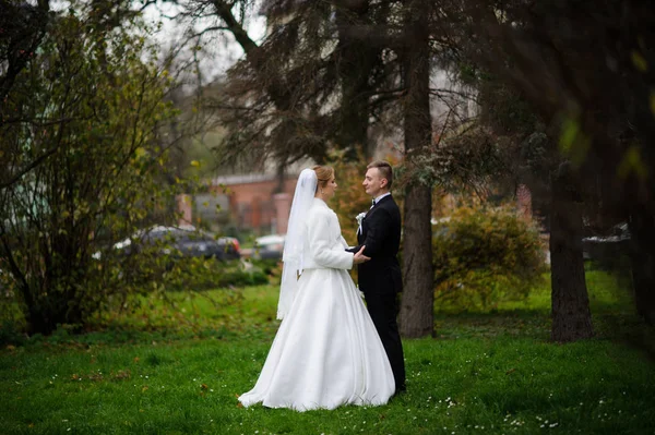 Joven pareja de boda disfrutando de momentos románticos —  Fotos de Stock