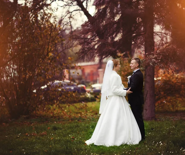 Mladý svatební pár těší romantické okamžiky — Stock fotografie