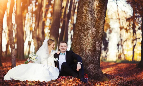 Młoda para ślubna ciesząca się romantycznymi chwilami — Zdjęcie stockowe