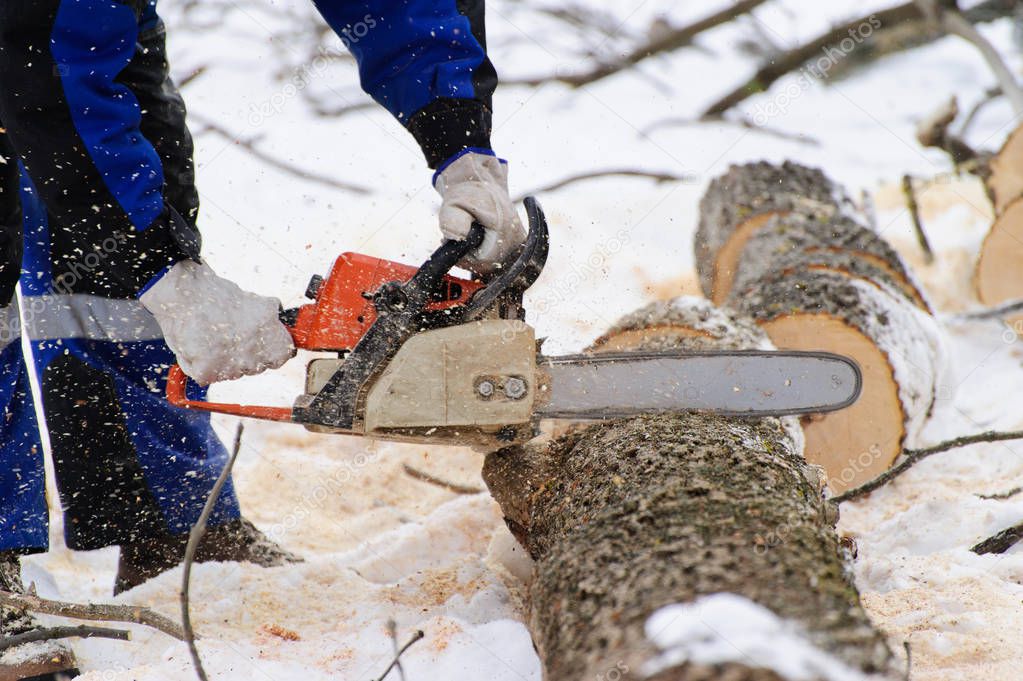 Close-up of woodcutter sawing chainsaw in motion, sawdust fly to