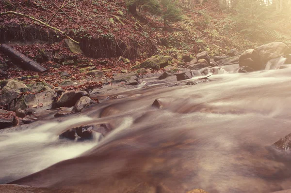 Mountain fast stream river — Stock Photo, Image