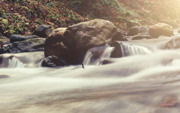Dağ hızlı akarsu nehir — Stok fotoğraf