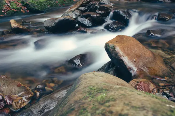 Mountain fast stream river — Stock Photo, Image